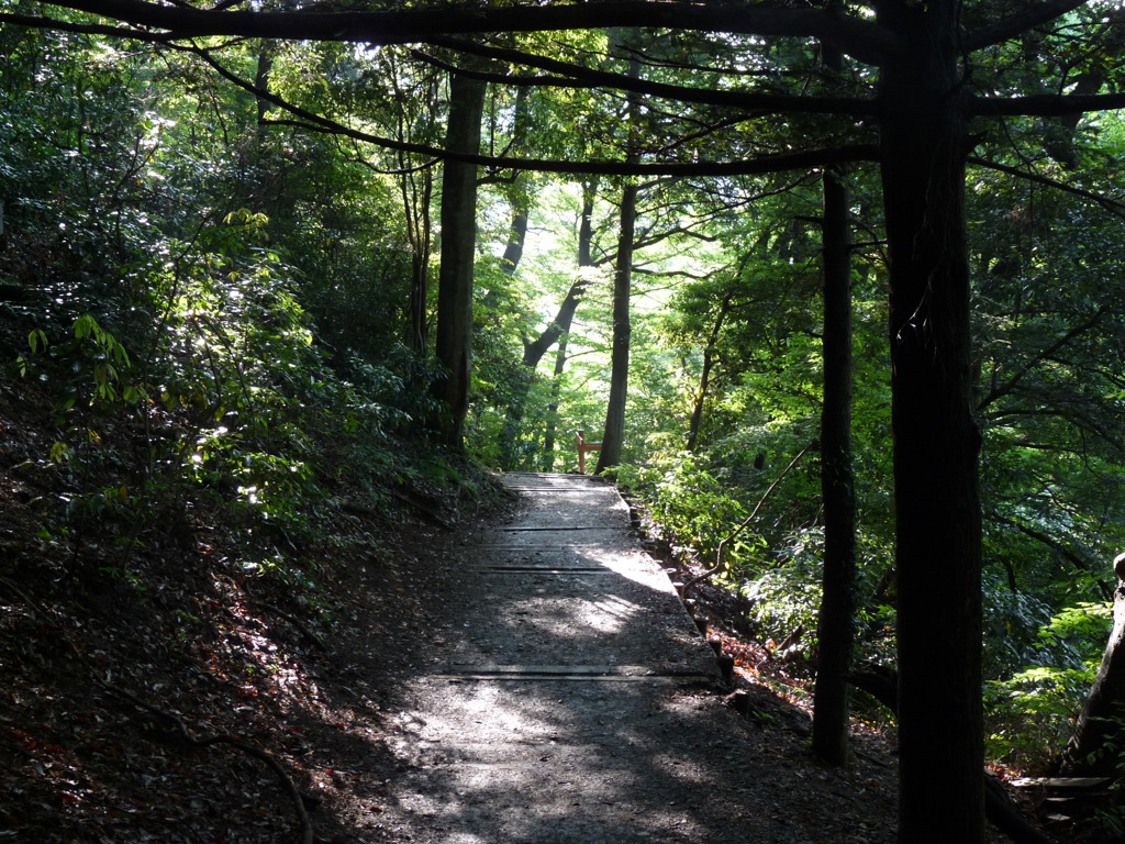 20090611_170600