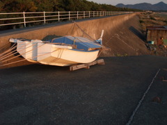 20101106_161901