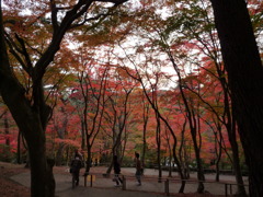 20091122_154201