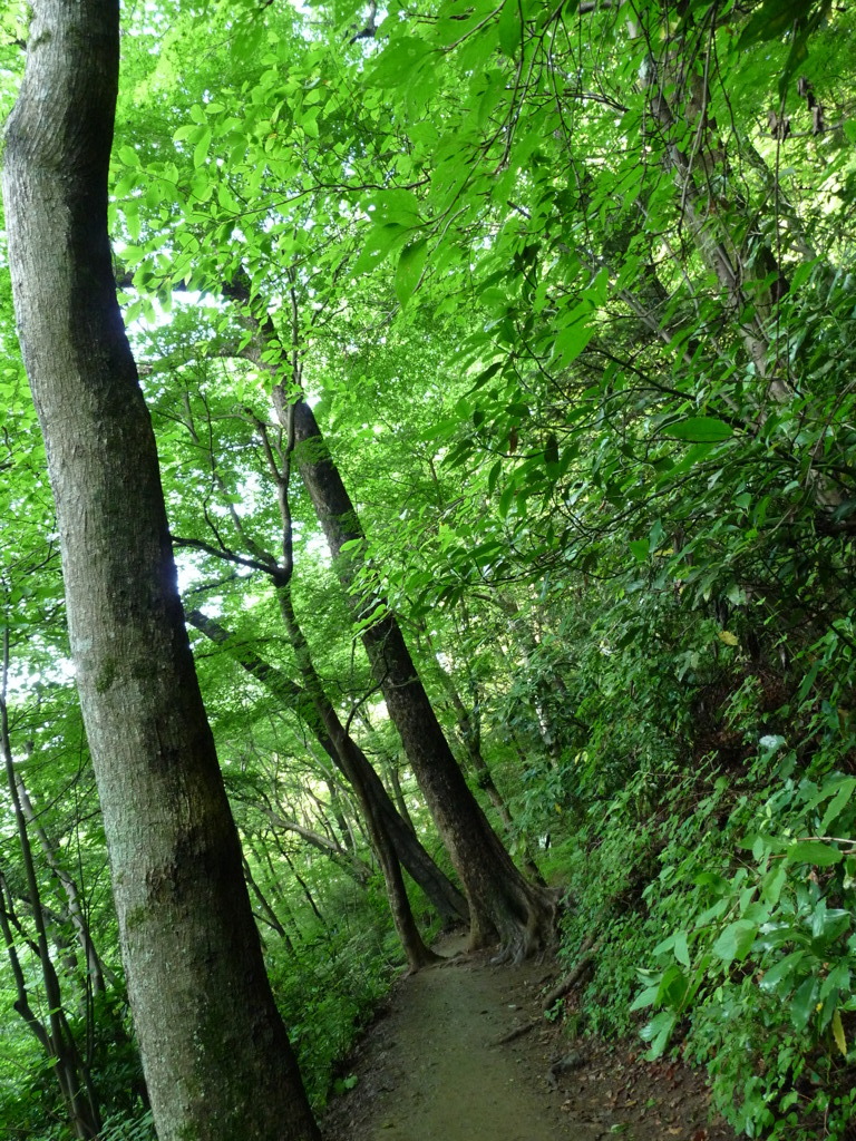 20090611_172612