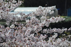 20100410_132302