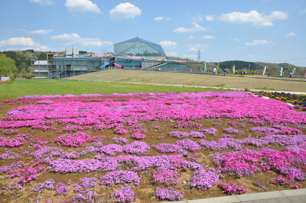 20100501_133520