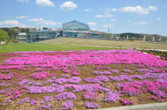 20100501_133520