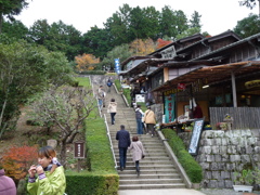 20091122_144028