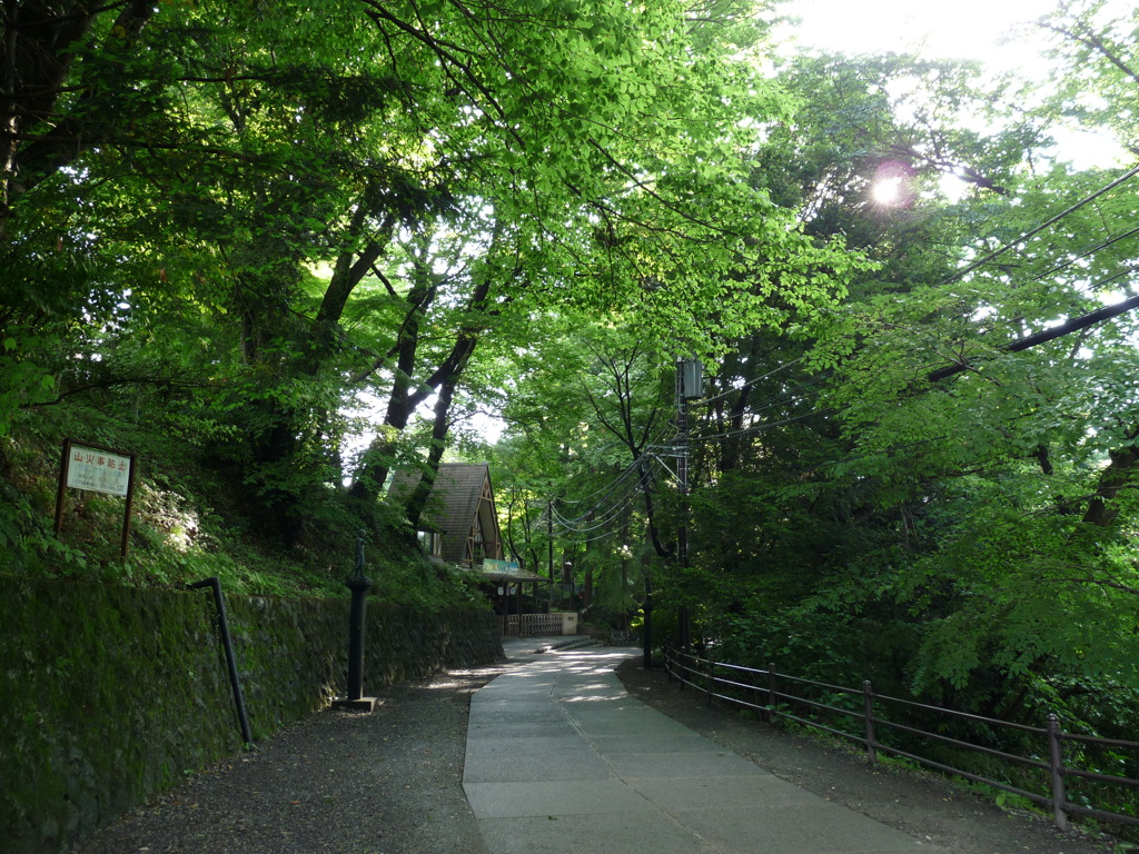 20090611_165205