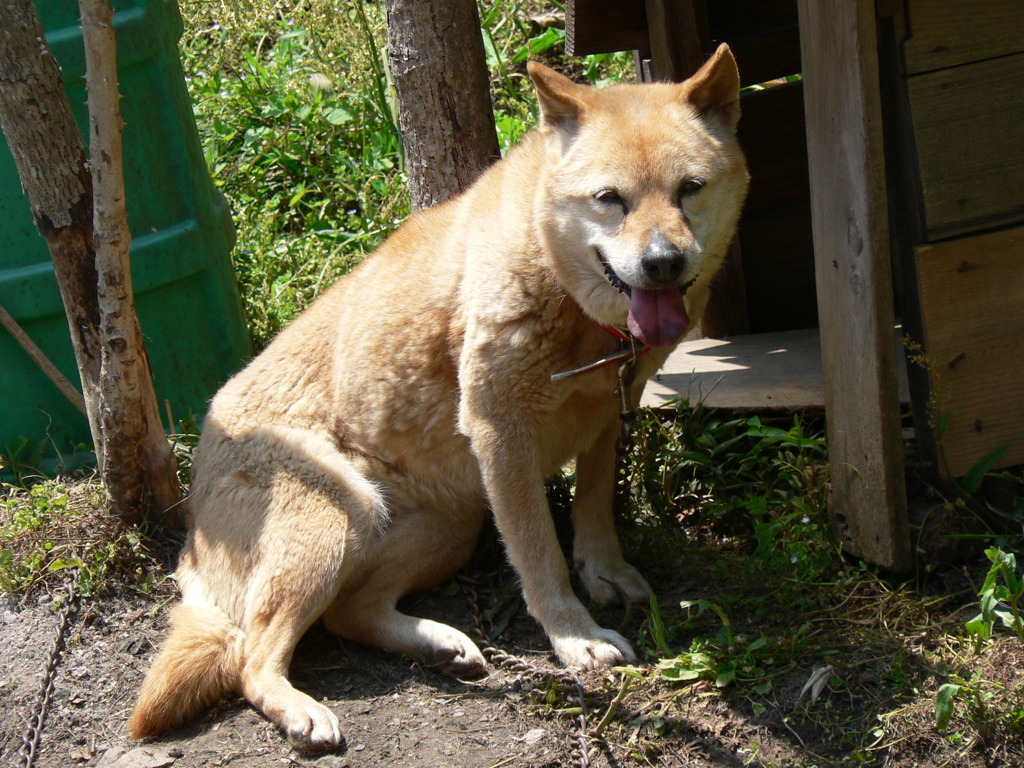 20070504_124052
