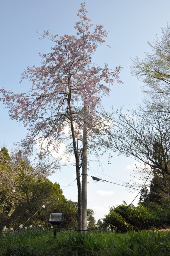 20100501_154738