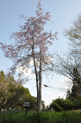 20100501_154738