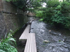 20100808_180622