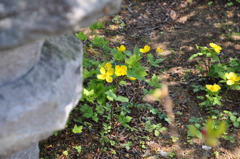 20100501_122618