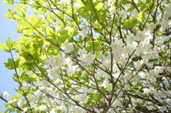 20100501_122838