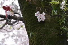 20100404_143112