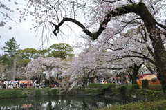 20100404_135856