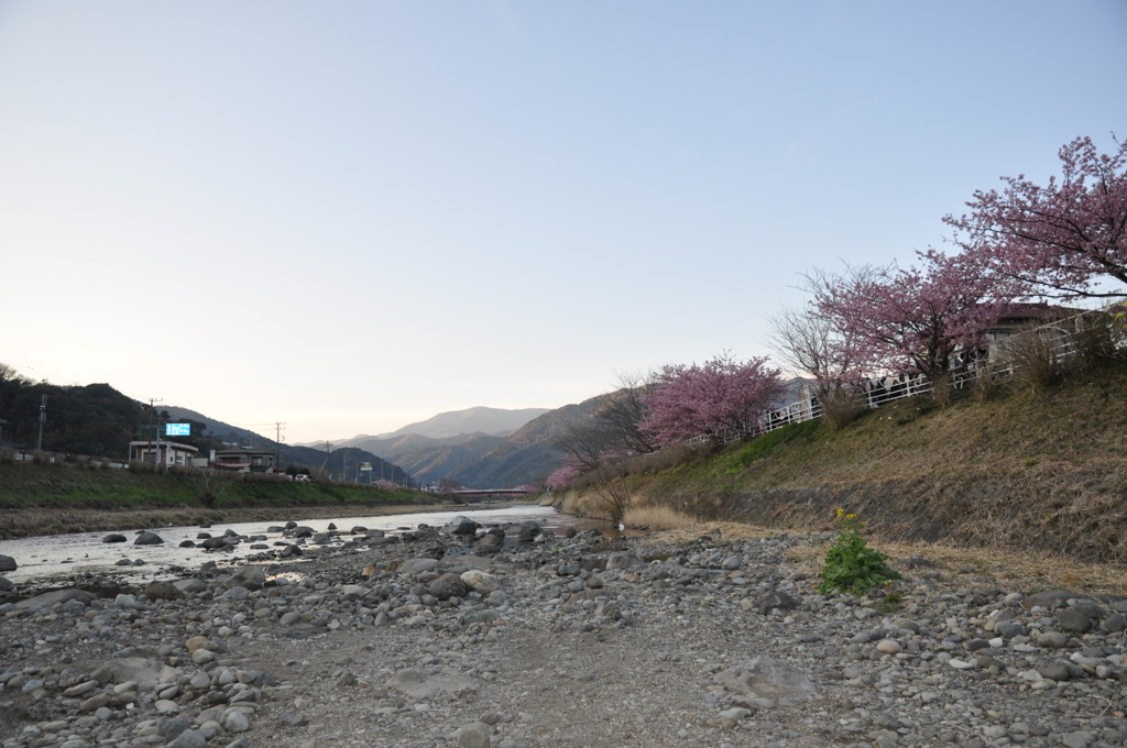 20100221_165328