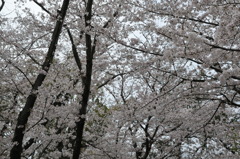 20100404_141244