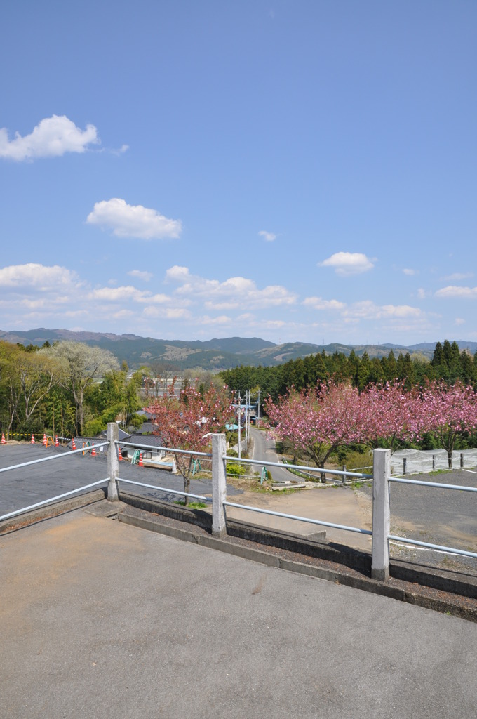 20100501_131308