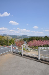 20100501_131308