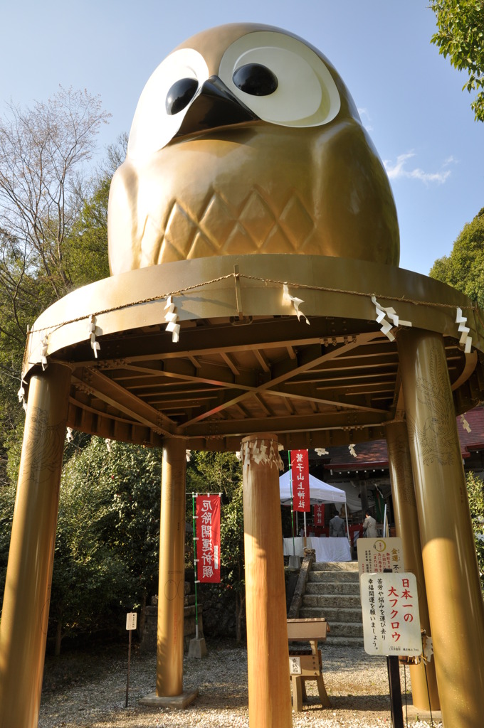 20100501_155100