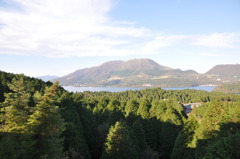 20101107_150102