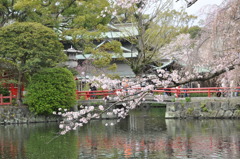 20100404_134916