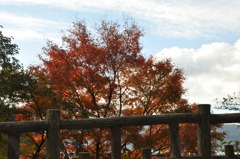 20101121_145014