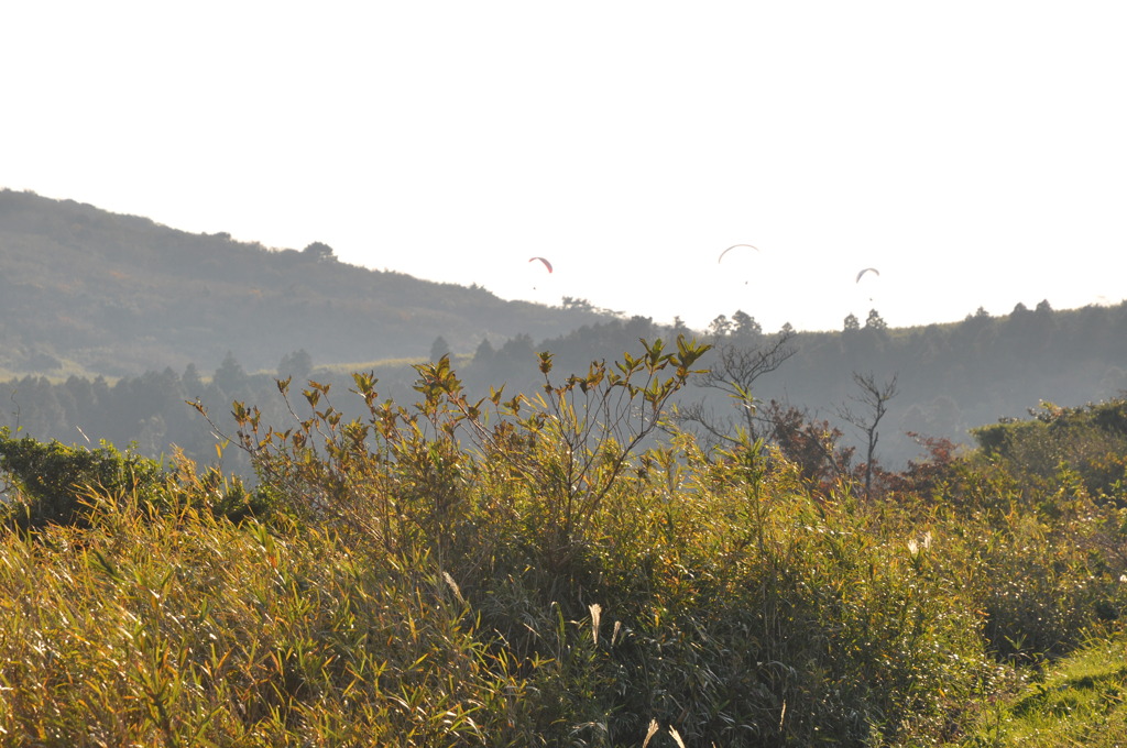 20101107_153728