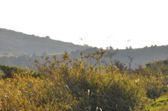 20101107_153728