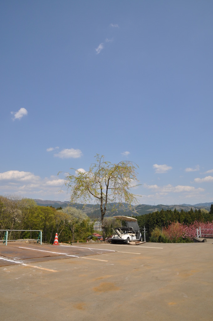 20100501_131148