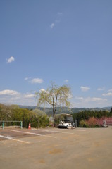 20100501_131148