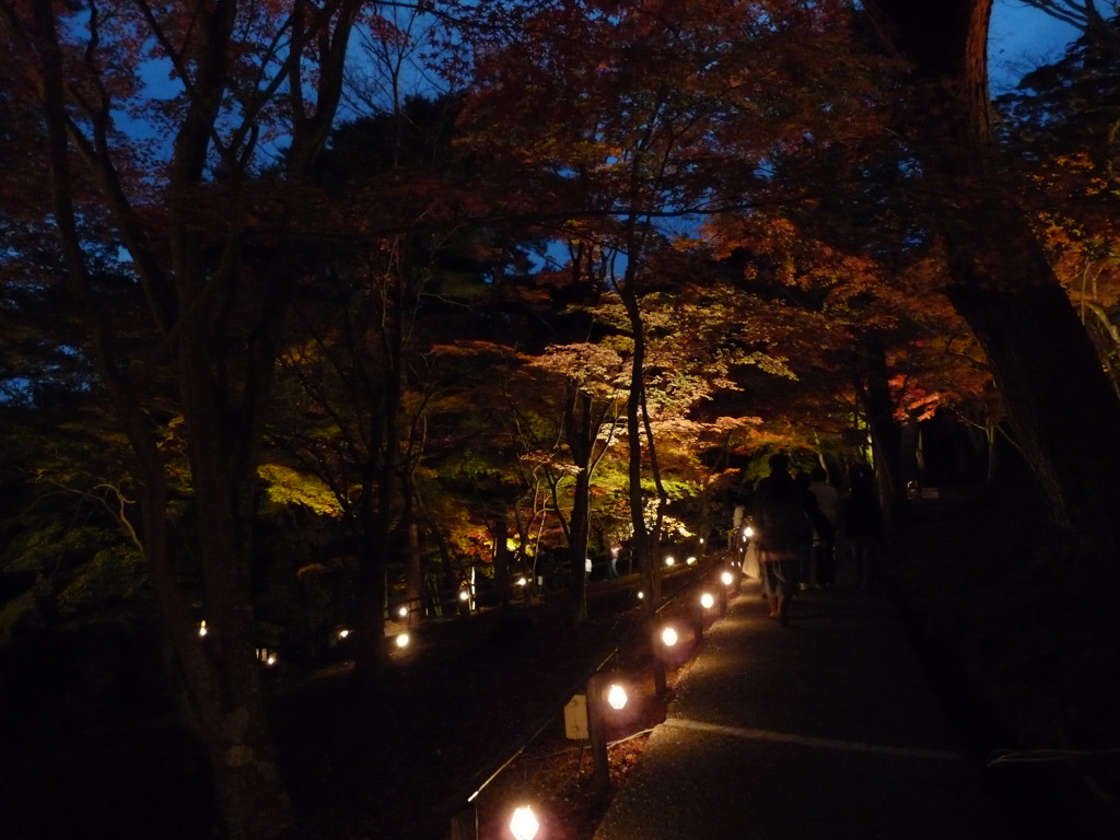 20091122_170104
