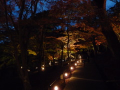 20091122_170104