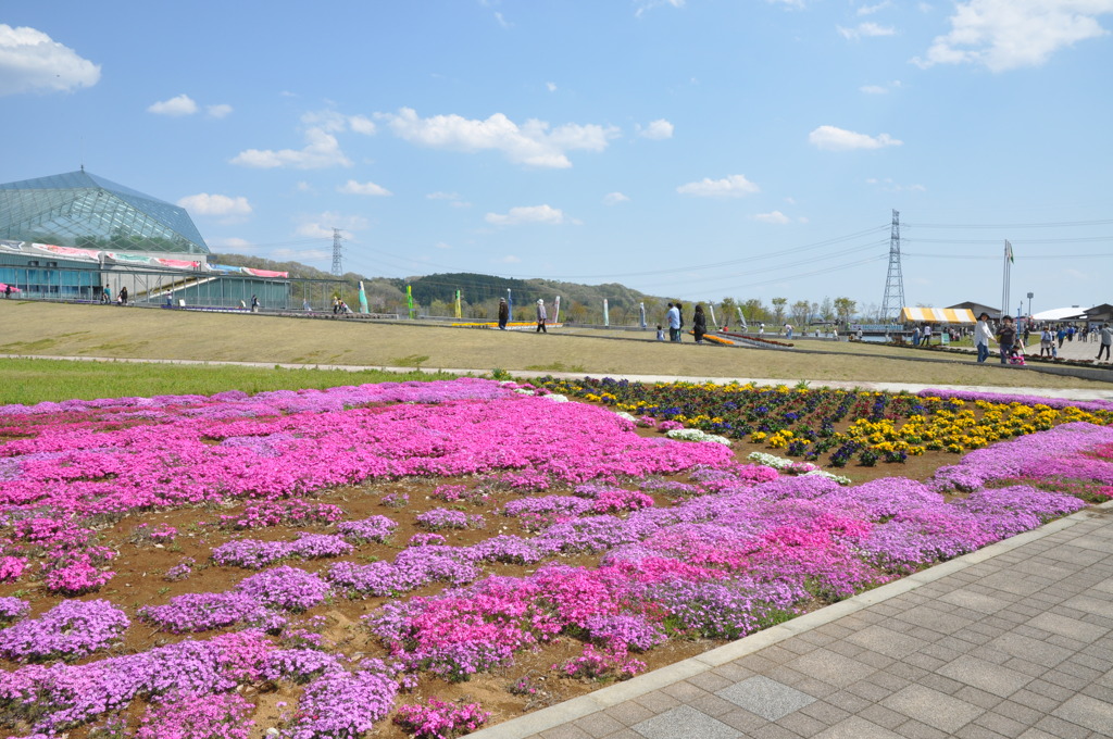 20100501_133552
