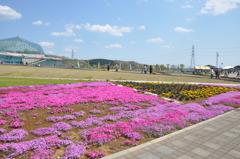 20100501_133552