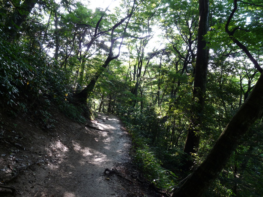 20090611_170810