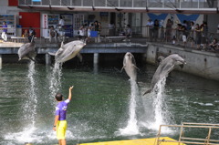 20100719_145234