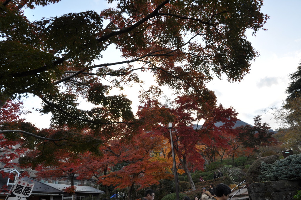 20101121_155138