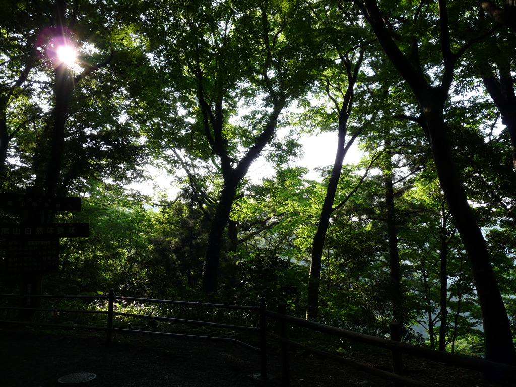 20090611_165415