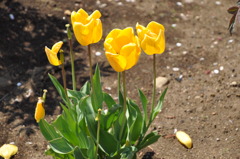 20100501_125948