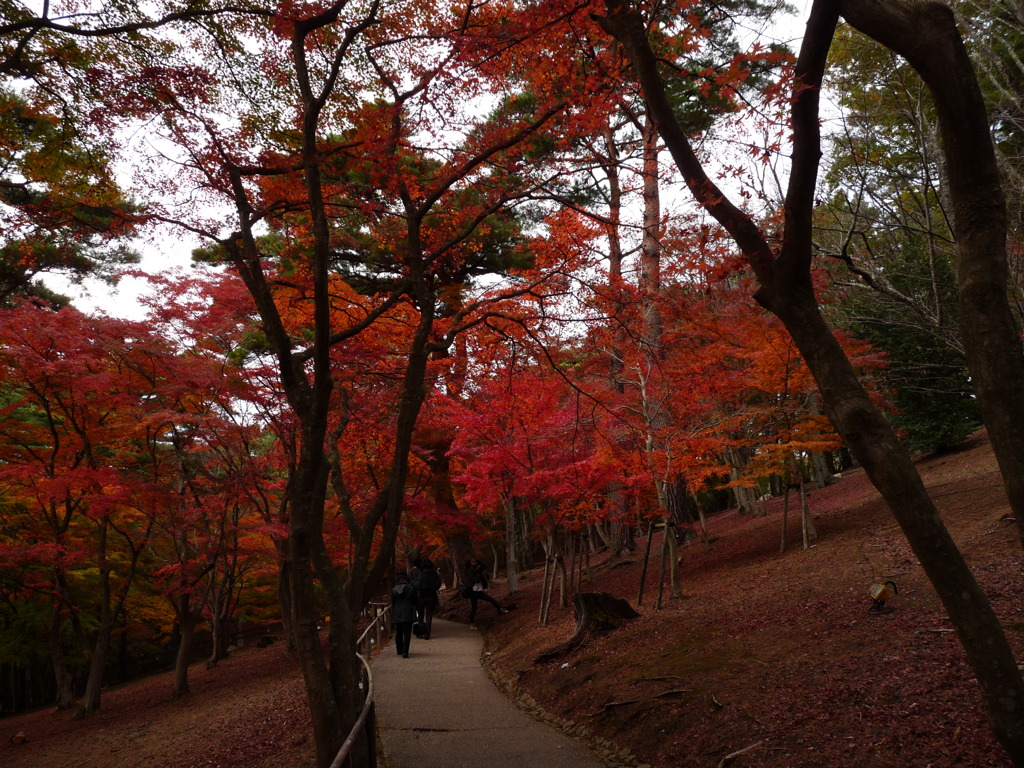 20091122_152420