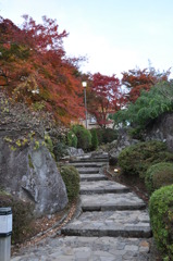 20101121_155824