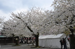 20100404_143410