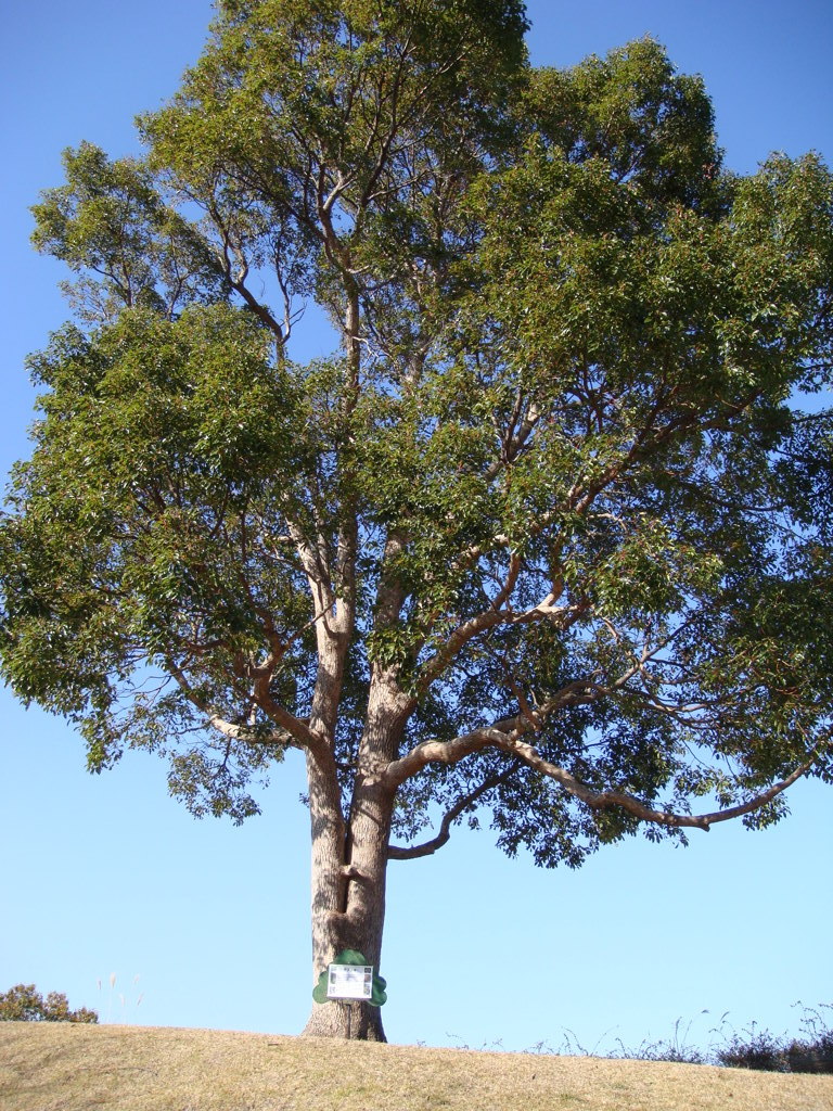 20071209_112450