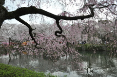 20100404_144216
