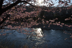 20100221_161126