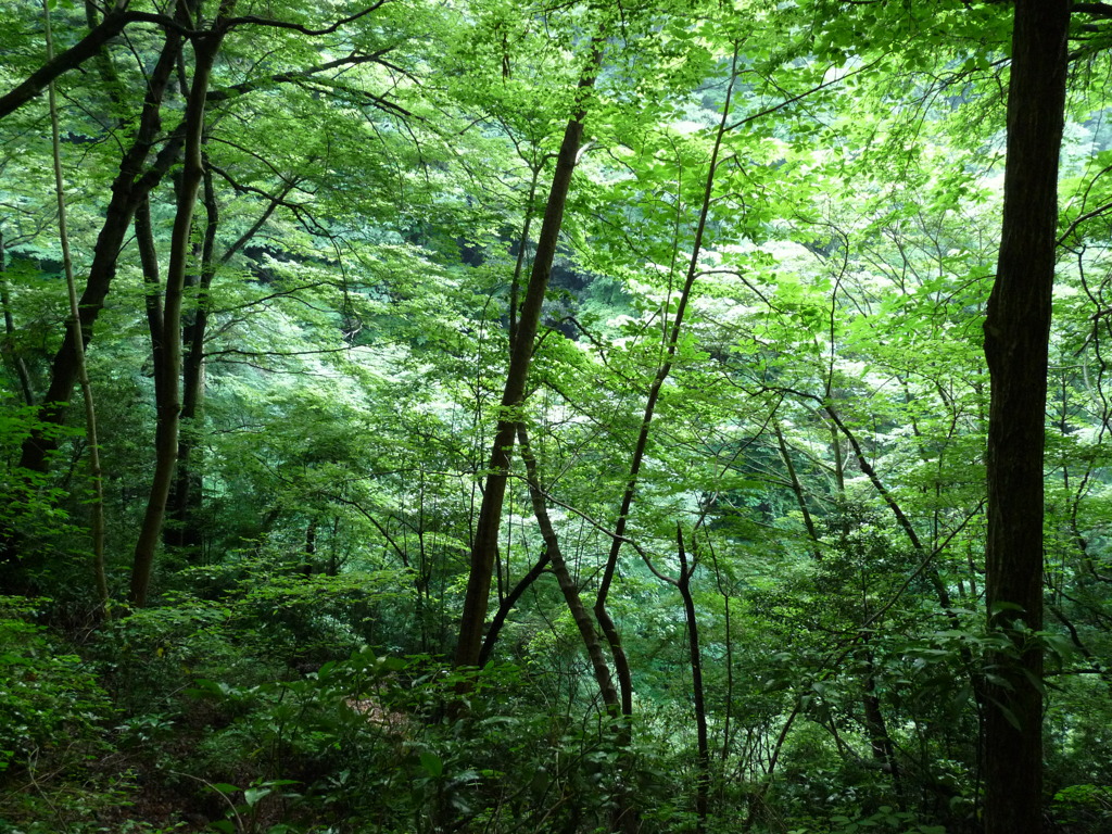 20090611_172001