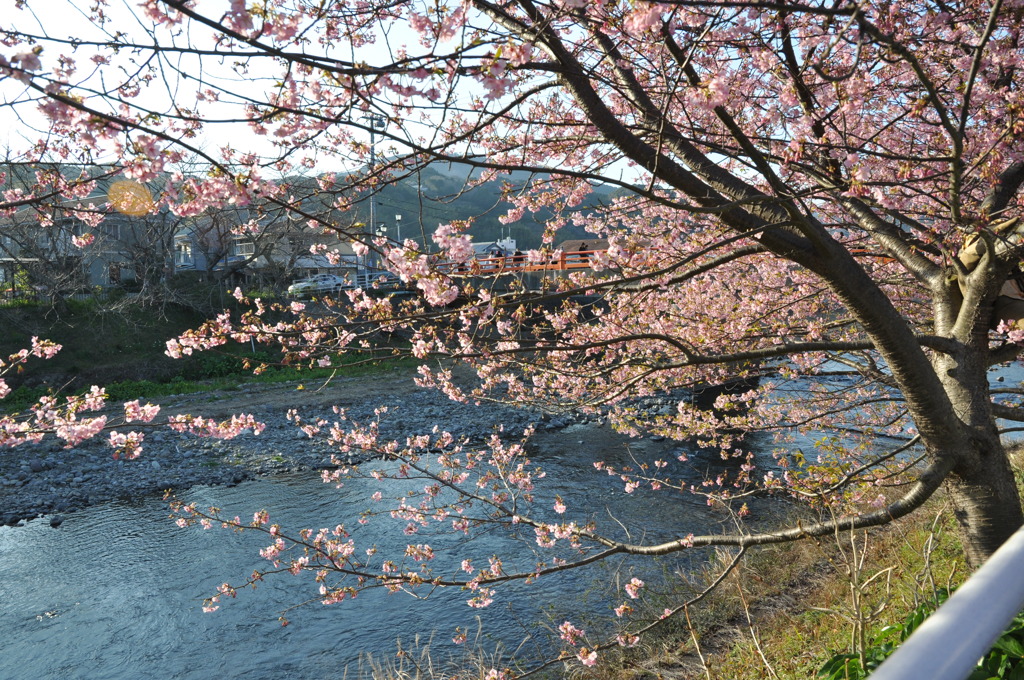 20100221_161138