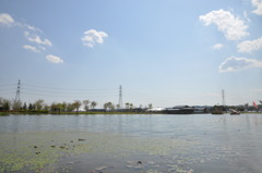 20100501_135846