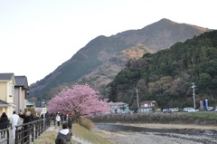 20100221_165158