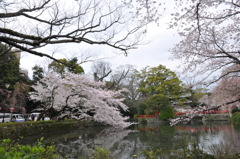 20100404_134834