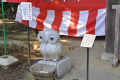 20100501_155950